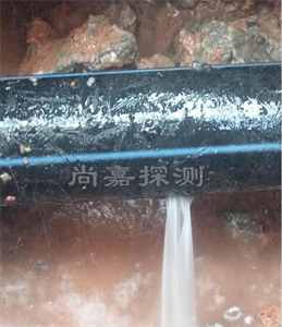 夏邑消防管道漏点探测